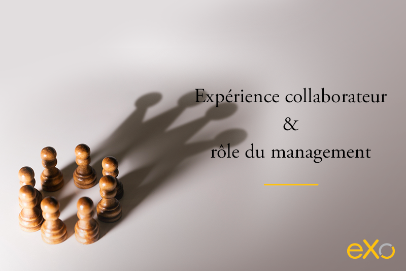 expérience collaborateur, rôle du management